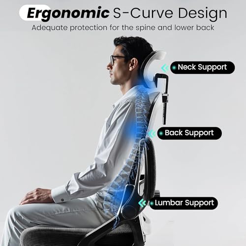 Ergonomic Mesh Office Chair with High Back & Adjustable Lumbar Support