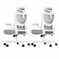 Marsail Ergonomic Office Chair with 3D Armrests