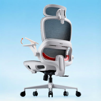 Ergonomic Mesh Office Chair with Adjustable Lumbar Support & Headrest