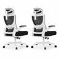 Marsail Ergonomic Office Chair with 3D Armrests