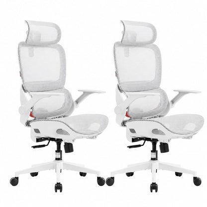 Ergonomic Mesh Office Chair with Adjustable Lumbar Support & Headrest
