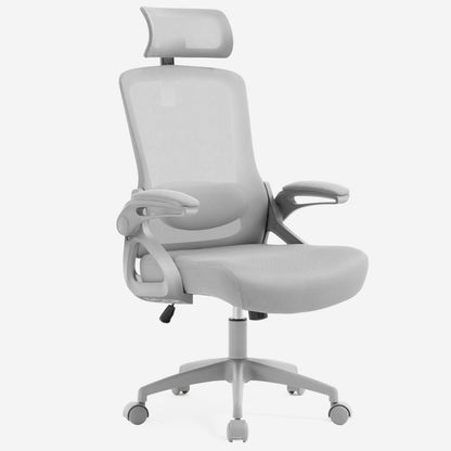 Ergonomic Mesh Office Chair with High Back & Adjustable Lumbar Support