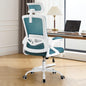 Ergonomic Mesh Office Chair with High Back & Adjustable Lumbar Support