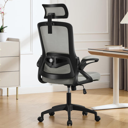 Ergonomic Mesh Office Chair with High Back & Adjustable Lumbar Support
