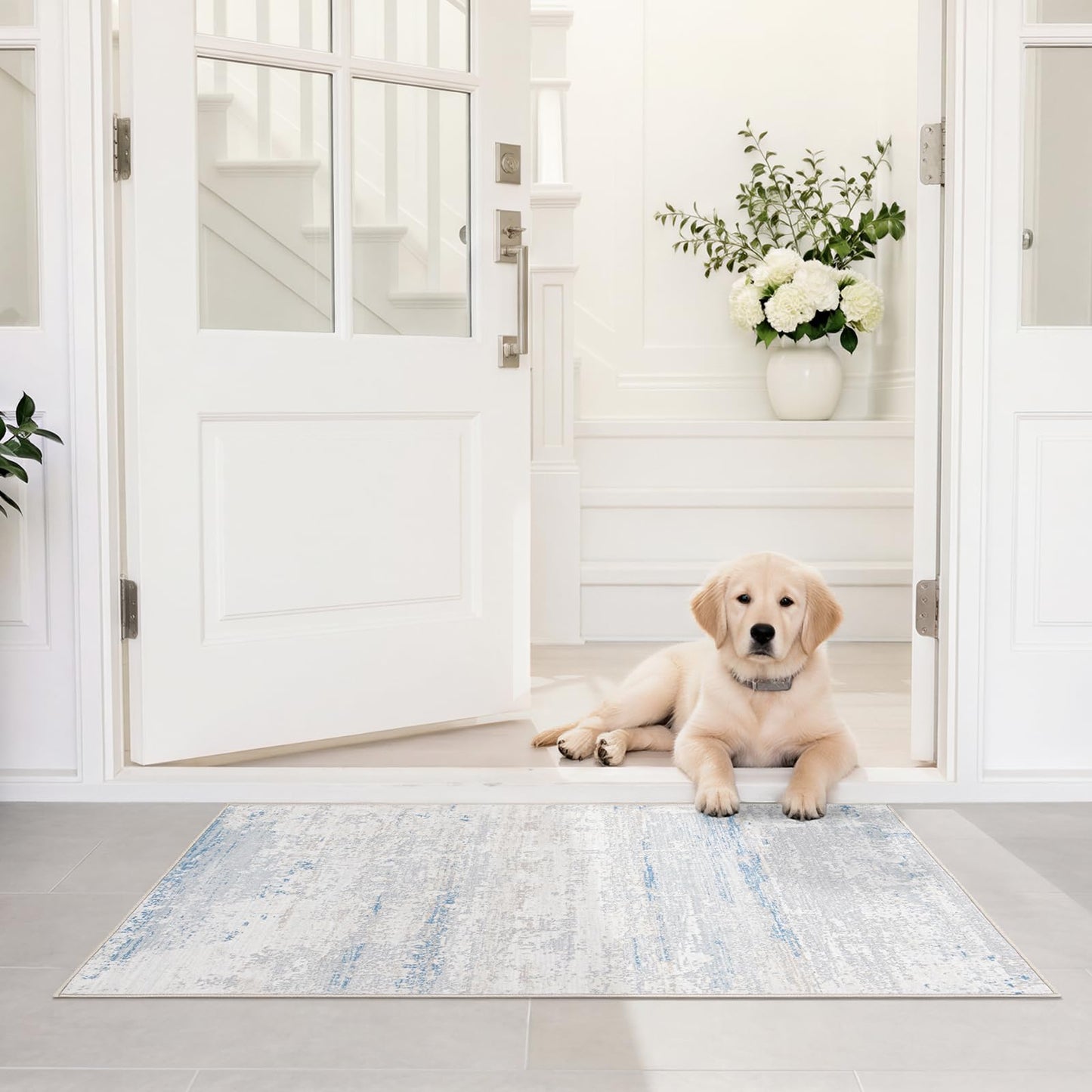 Lbris Machine Washable Rugs 8x10 Area Rugs for Living Room,Bedroom,Dining Room