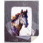 Ultra Soft Plush Sherpa Fleece Oversized Throw Blanket for Home Decor