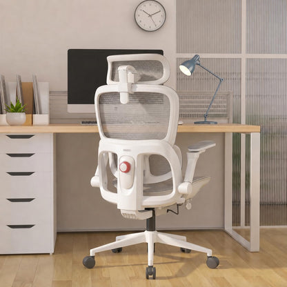 Ergonomic Mesh Office Chair with Adjustable Lumbar Support & Headrest