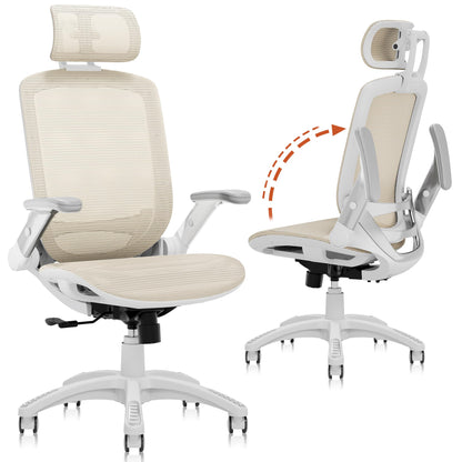 Ergonomic High Back Mesh Office Chair with Lumbar Support & Headrest