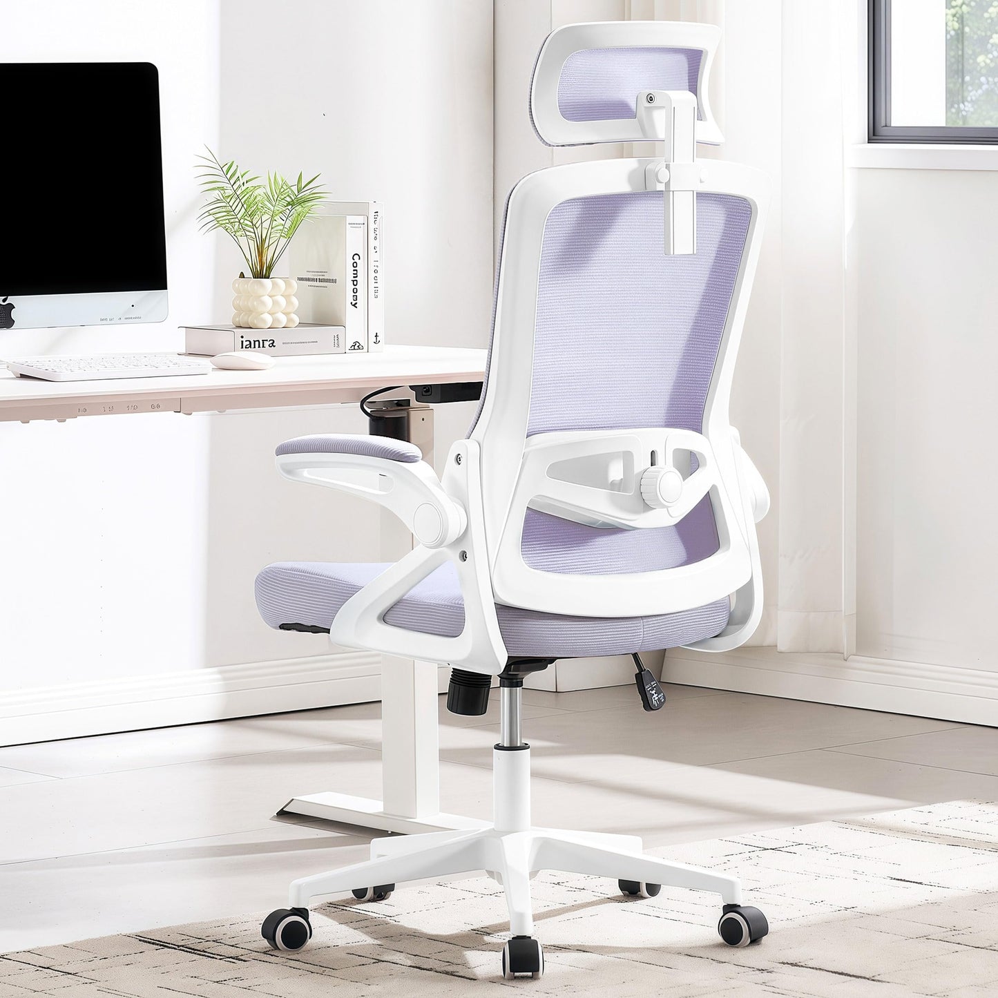 Ergonomic Mesh Office Chair with High Back & Adjustable Lumbar Support