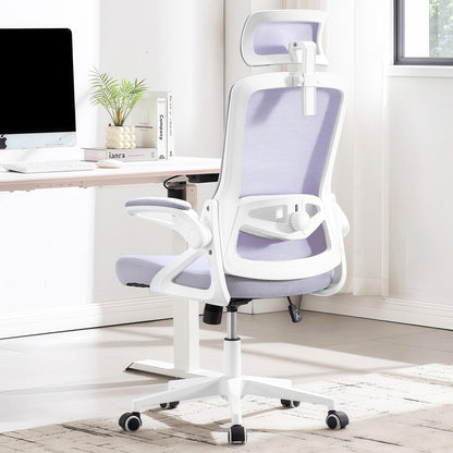 Ergonomic Mesh Office Chair with High Back & Adjustable Lumbar Support