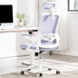 Ergonomic Mesh Office Chair with High Back & Adjustable Lumbar Support