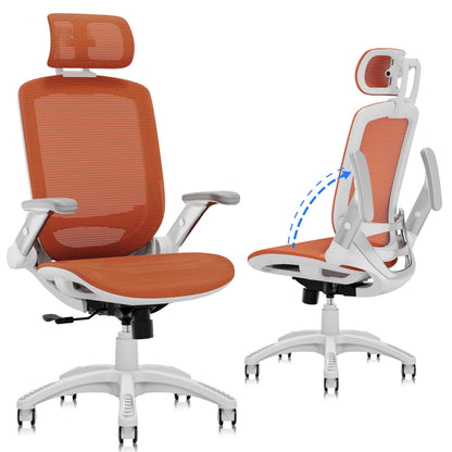 Ergonomic High Back Mesh Office Chair with Lumbar Support & Headrest