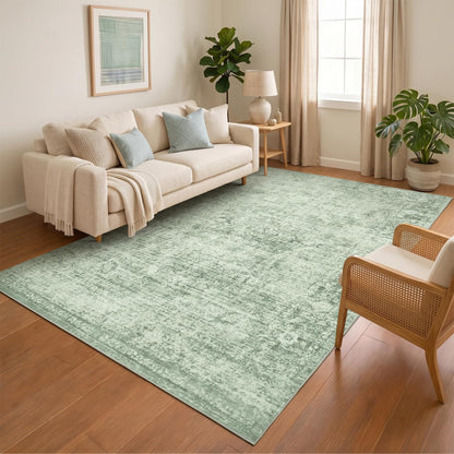 Homemate Washable Area Rug for Home Decor