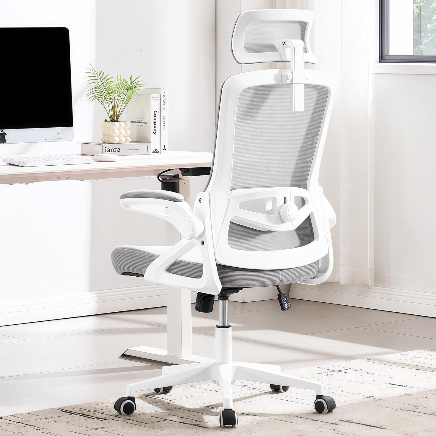 Ergonomic Mesh Office Chair with High Back & Adjustable Lumbar Support