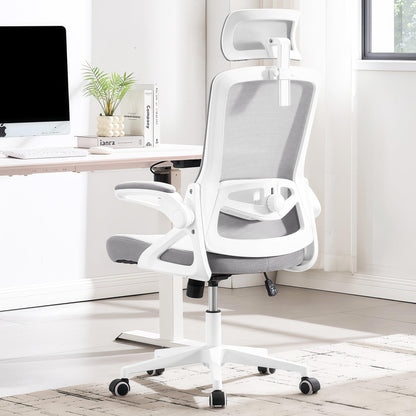Ergonomic Mesh Office Chair with High Back & Adjustable Lumbar Support