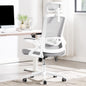 Ergonomic Mesh Office Chair with High Back & Adjustable Lumbar Support