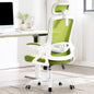 Ergonomic Mesh Office Chair with High Back & Adjustable Lumbar Support